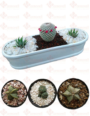 Piedra Decorativa Mármol Y Ónix 5kg Cactus Suculentas Bonsái